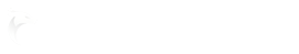 TommyThemes.com Logo